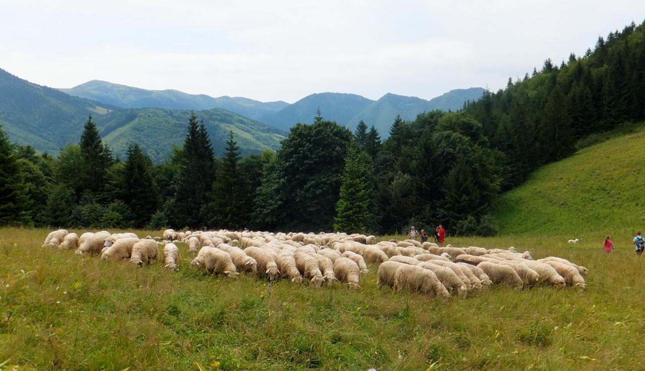 Chata Podolina Terchová エクステリア 写真