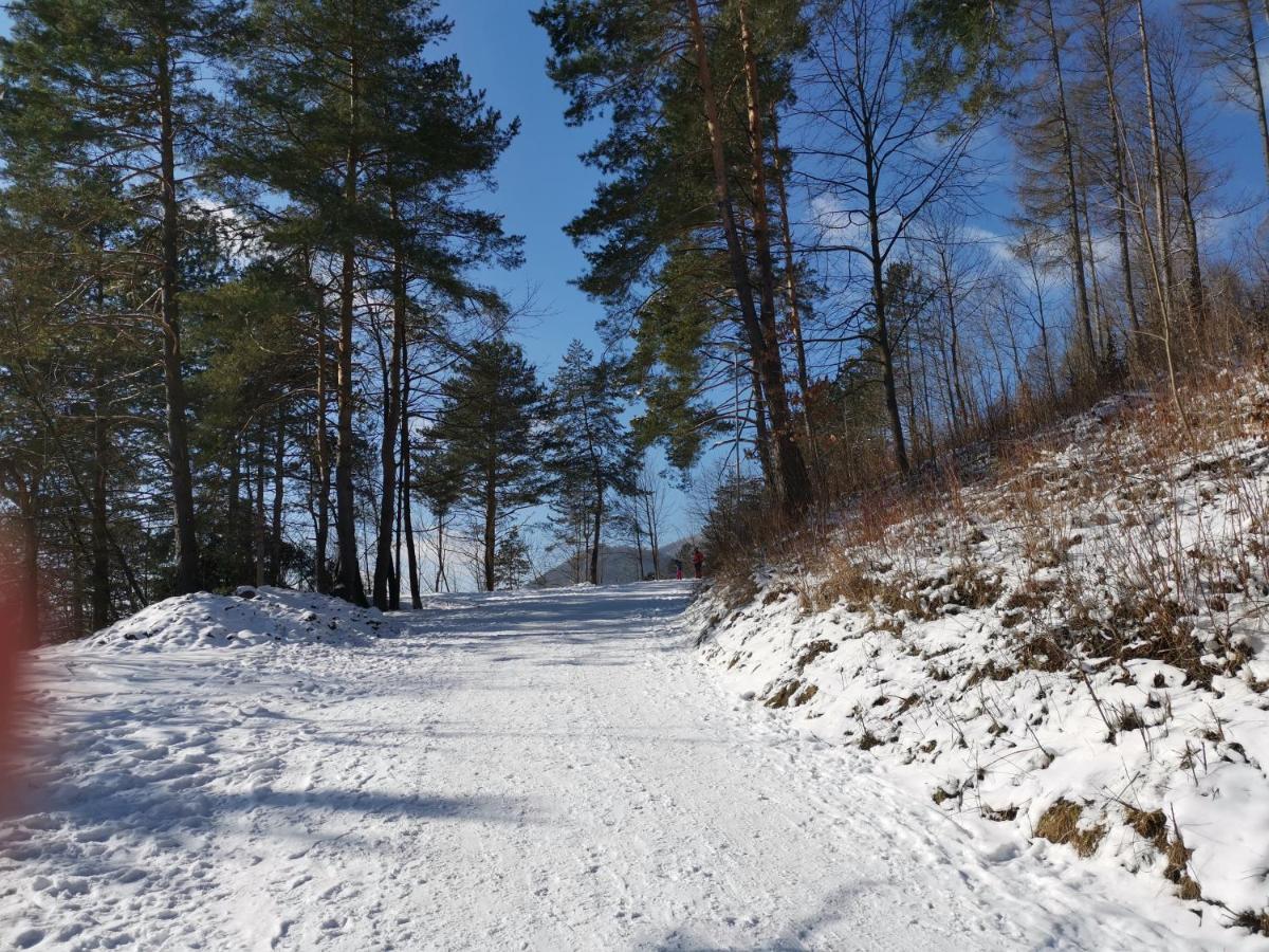 Chata Podolina Terchová エクステリア 写真